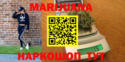 прущие грибы Краснодар