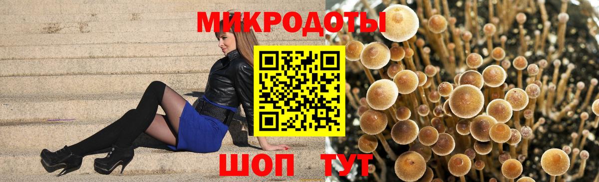 Псилоцибиновые грибы мицелий  купить   Кемерово  Вход с VPN 
