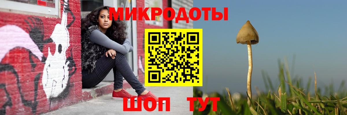 Галлюциногенные грибы Magic Shrooms Кемерово